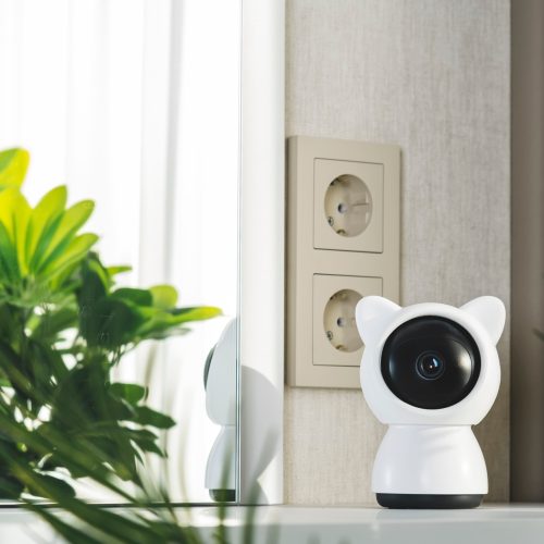 CCTV camera for round-the-clock monitoring of home